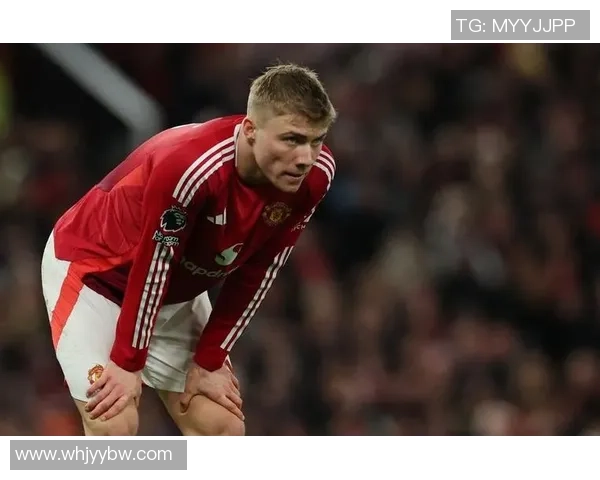 霍伊伦：探寻这位杰出人物背后的故事与成就