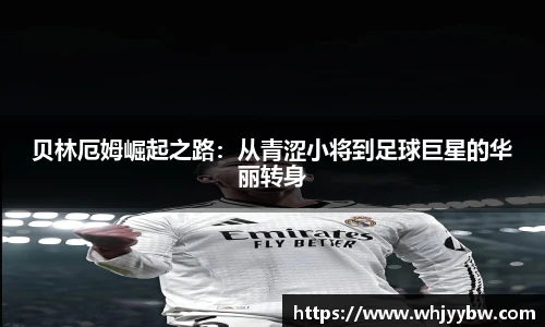 emc易倍手机网页版登录